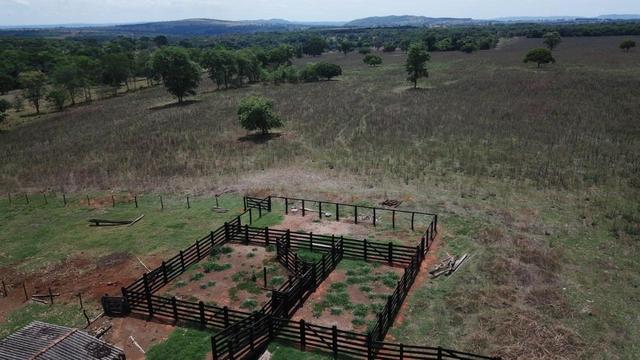 Fazenda Extra em Hidrolândia-GO. 40 km Goiânia - Foto 4