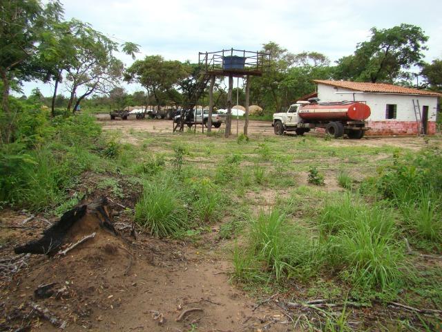 Fazenda com 1.006 hectares, com sede, aberta, para soja e milho - Foto 18