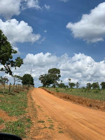 Fazenda Extra em Hidrolândia-GO. 40 km Goiânia - Foto 5