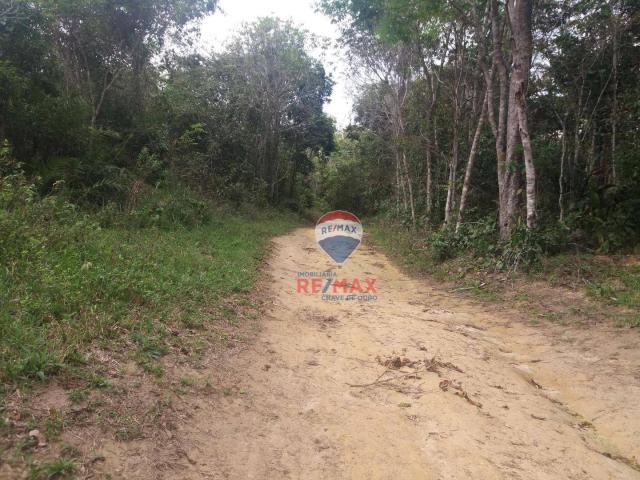 Re/max chave de ouro vende fazendas nas margens do rio buranhém - Foto 7