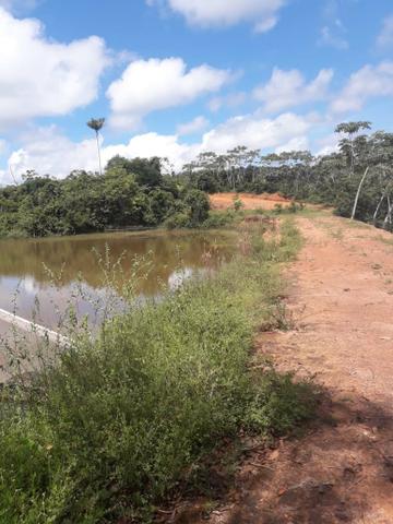 Ulianópolis-Pa, 200 Alqueires - Foto 4