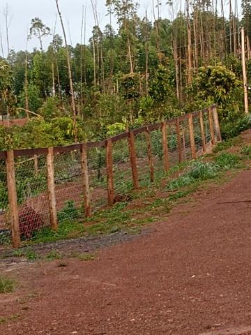 Ágio de chácara próximo Abadiânia velha - Foto 4