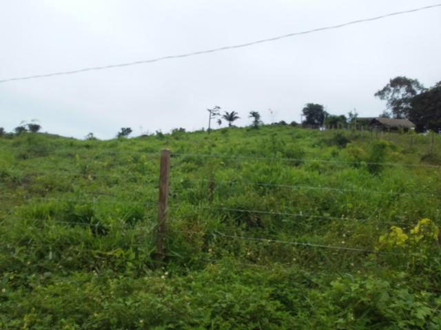 Venda - Foto 4