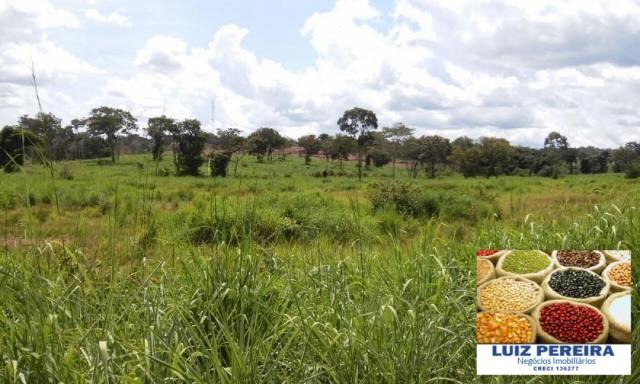 FAZENDA A VENDA DE 906 ALQUEIRÕES EM ARAGUAÇU - TO (Dupla Aptidão) - Foto 9