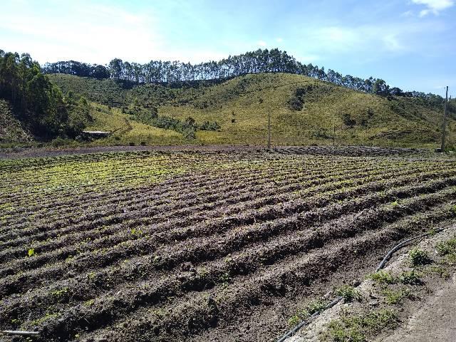 Sitio minis freire 4 alqueires