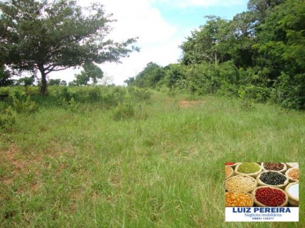 FAZENDA A VENDA de 100 HECTARES EM TERENOS - MS - (Pecuária) - Foto 2
