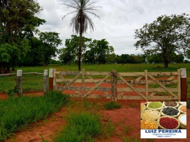 FAZENDA A VENDA DE 5.159 hECTARES EM BONITO - MS (Dupla aptidão) - Foto 2