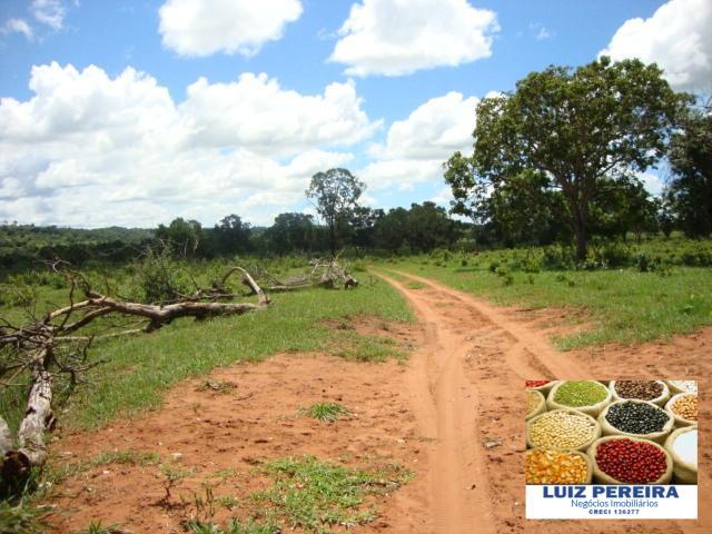 FAZENDA A VENDA de 100 HECTARES EM TERENOS - MS - (Pecuária) - Foto 18