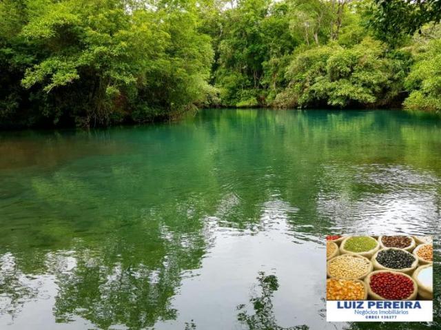 FAZENDA A VENDA DE 5.159 hECTARES EM BONITO - MS (Dupla aptidão) - Foto 15