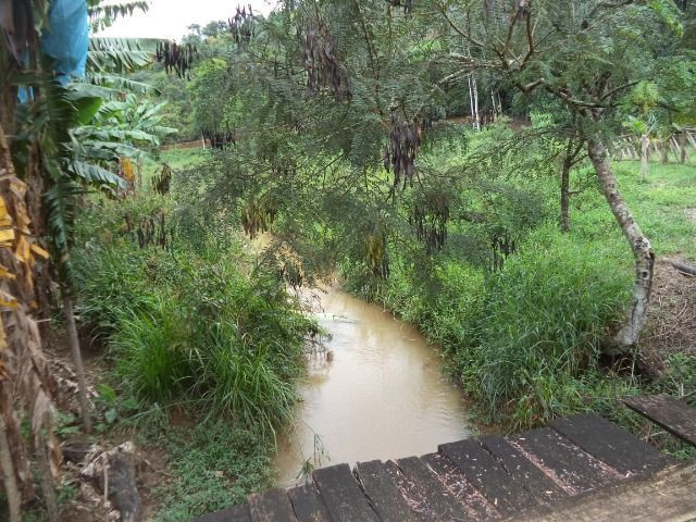 Domingo martins - Foto 3