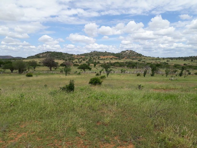 Fazenda Oportunidade