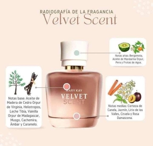 Perfume Deo Parfum feminino Mary kay 