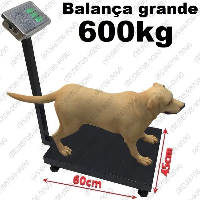 Balança Digital 600kg