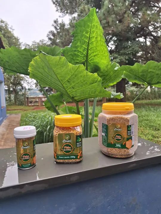 Pólen de abelha desidratado Coapis - 50g, 250g e 500g