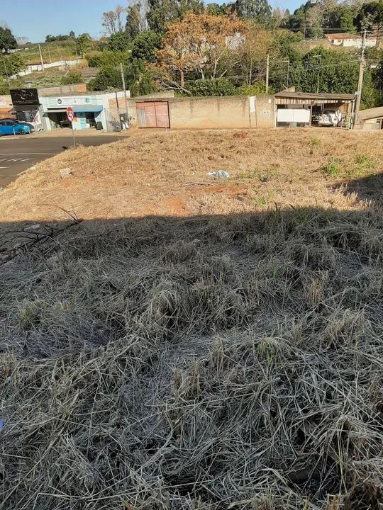 Terreno Vila Estrela - Esquina  - 750 m2