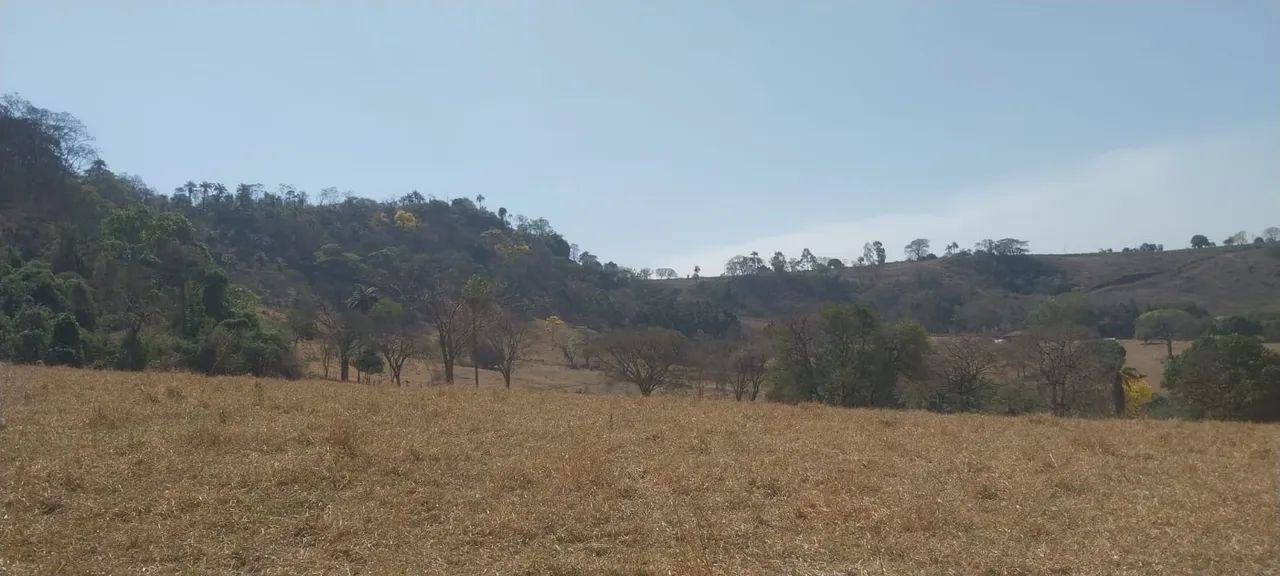 foto - Ribeirão Preto - Jardim Palma Travassos