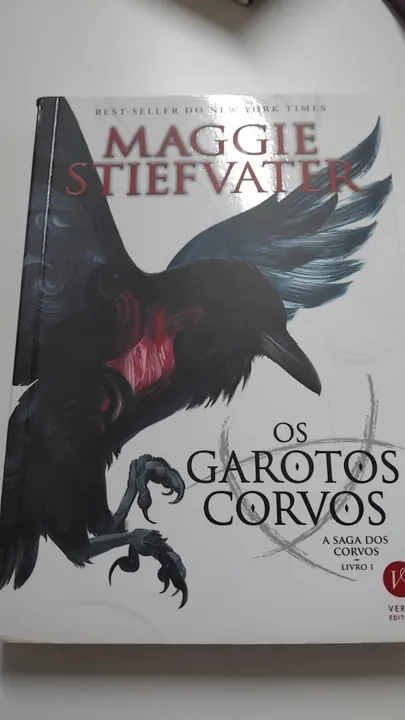 Os garotos corvos - A saga dos corvos - vol. 1