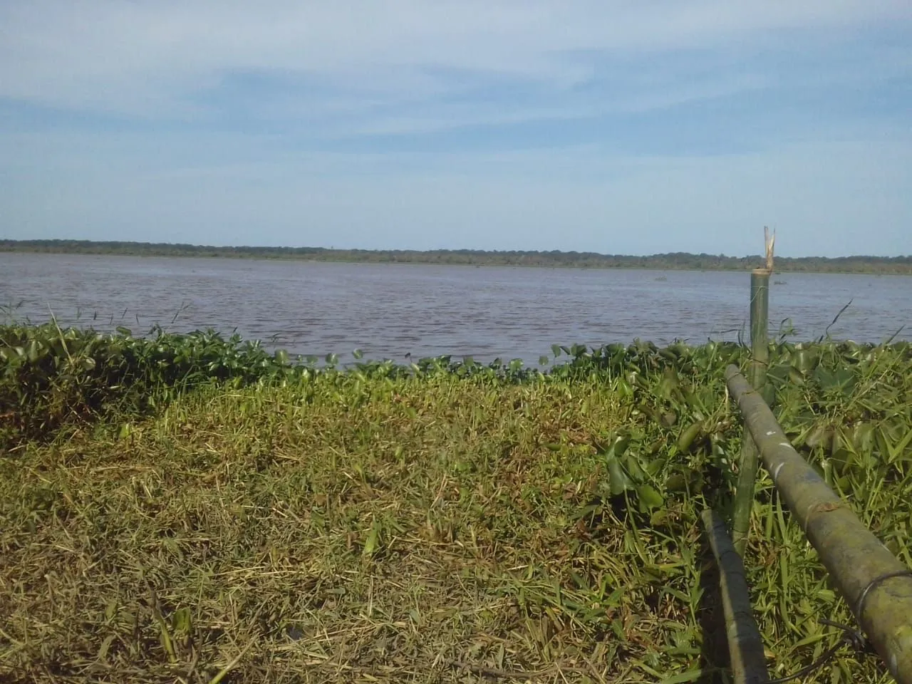 Vendo terreno para chácara em Iguape 