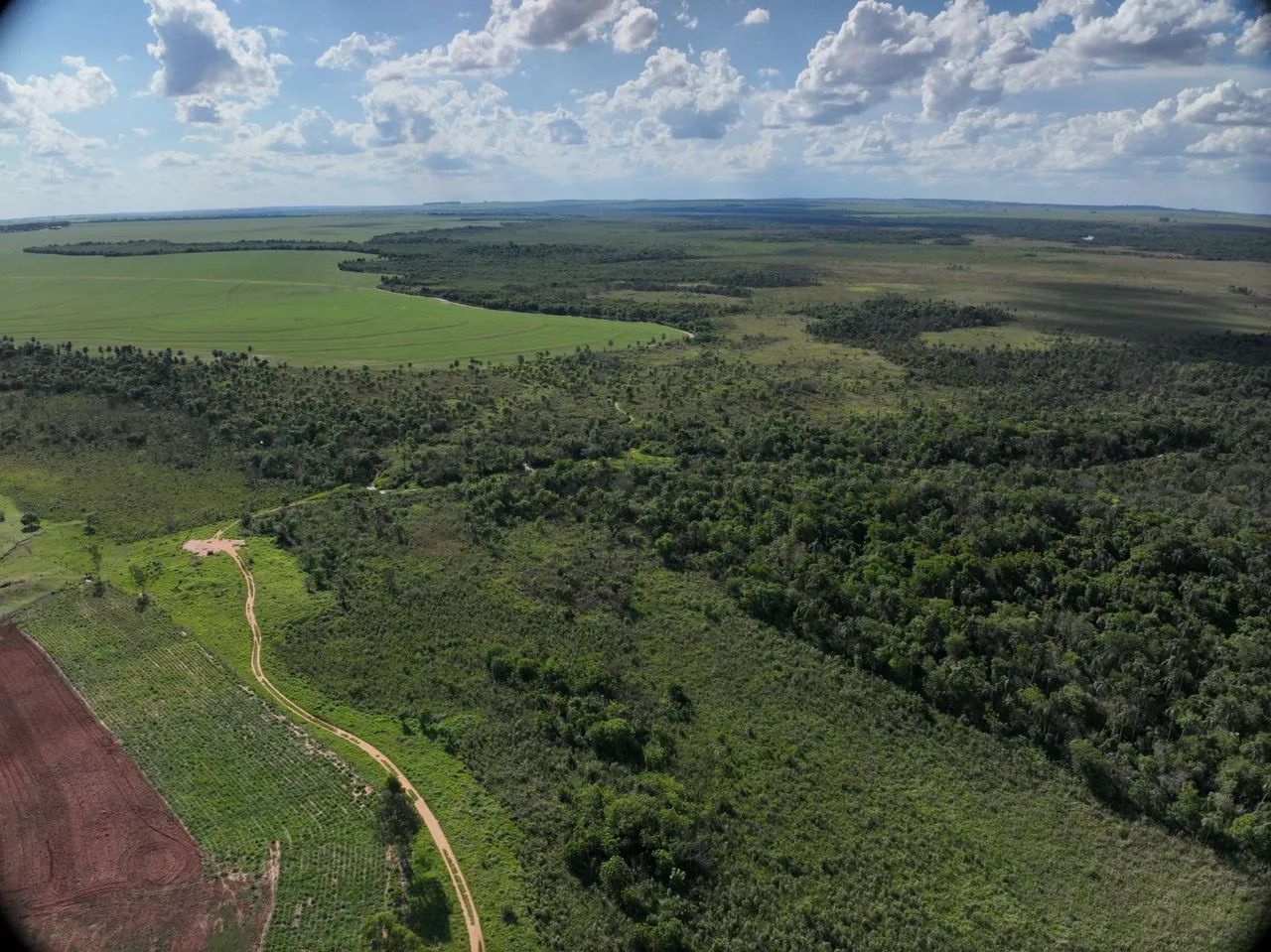Fazenda a venda investidor  - Foto 4