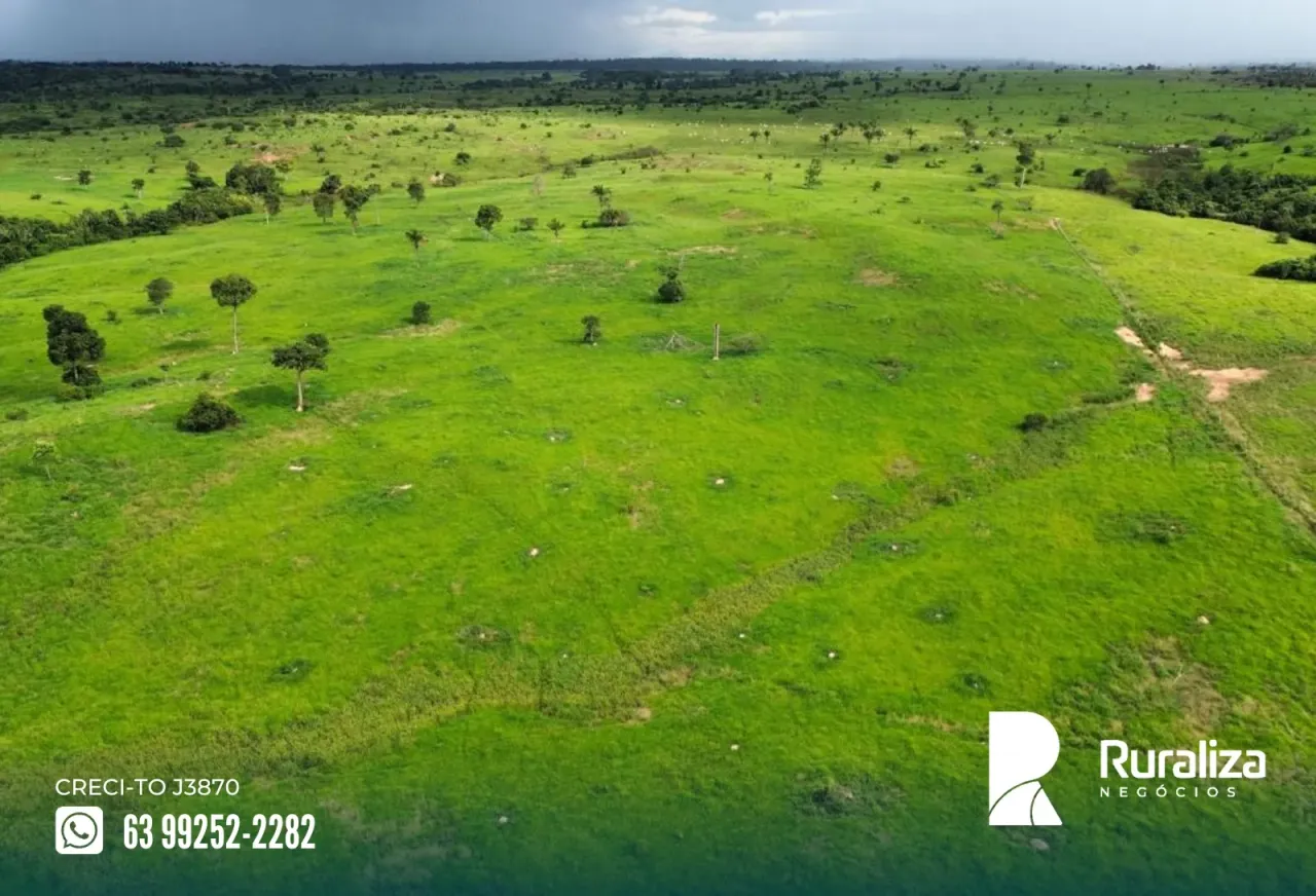 Arapoema - TO arrendamento agrícola, 5 km do asfalto e 30 km do calcário