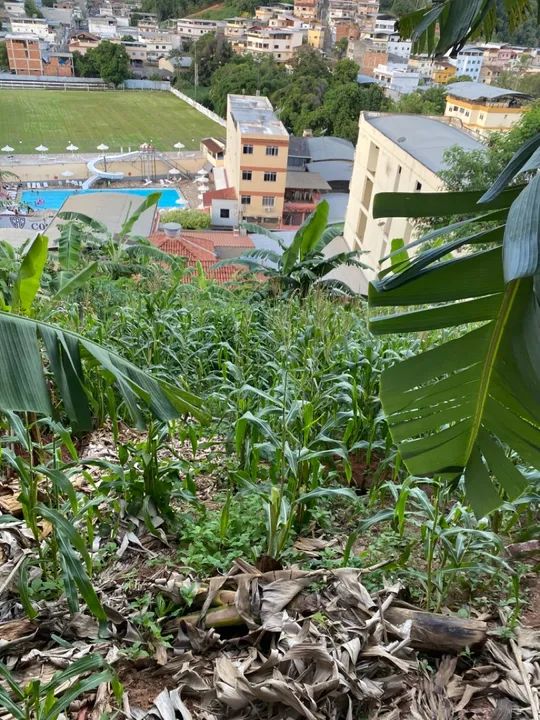 Terreno com vista espetacular! - Foto 4