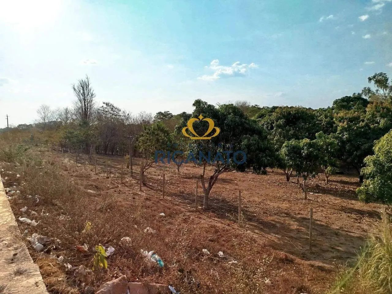 EXCELENTE E ENORME CHÁCARA EM FRENTE AO RODOANEL - Foto 5