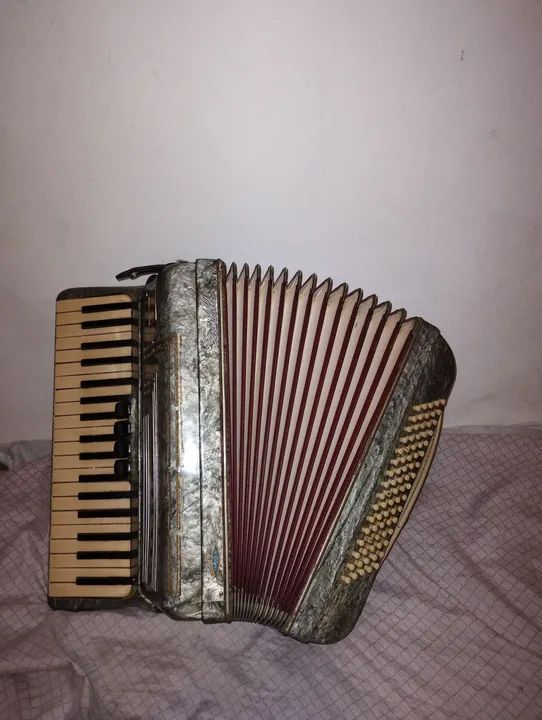 Acordeon scandalli 80 baixo 