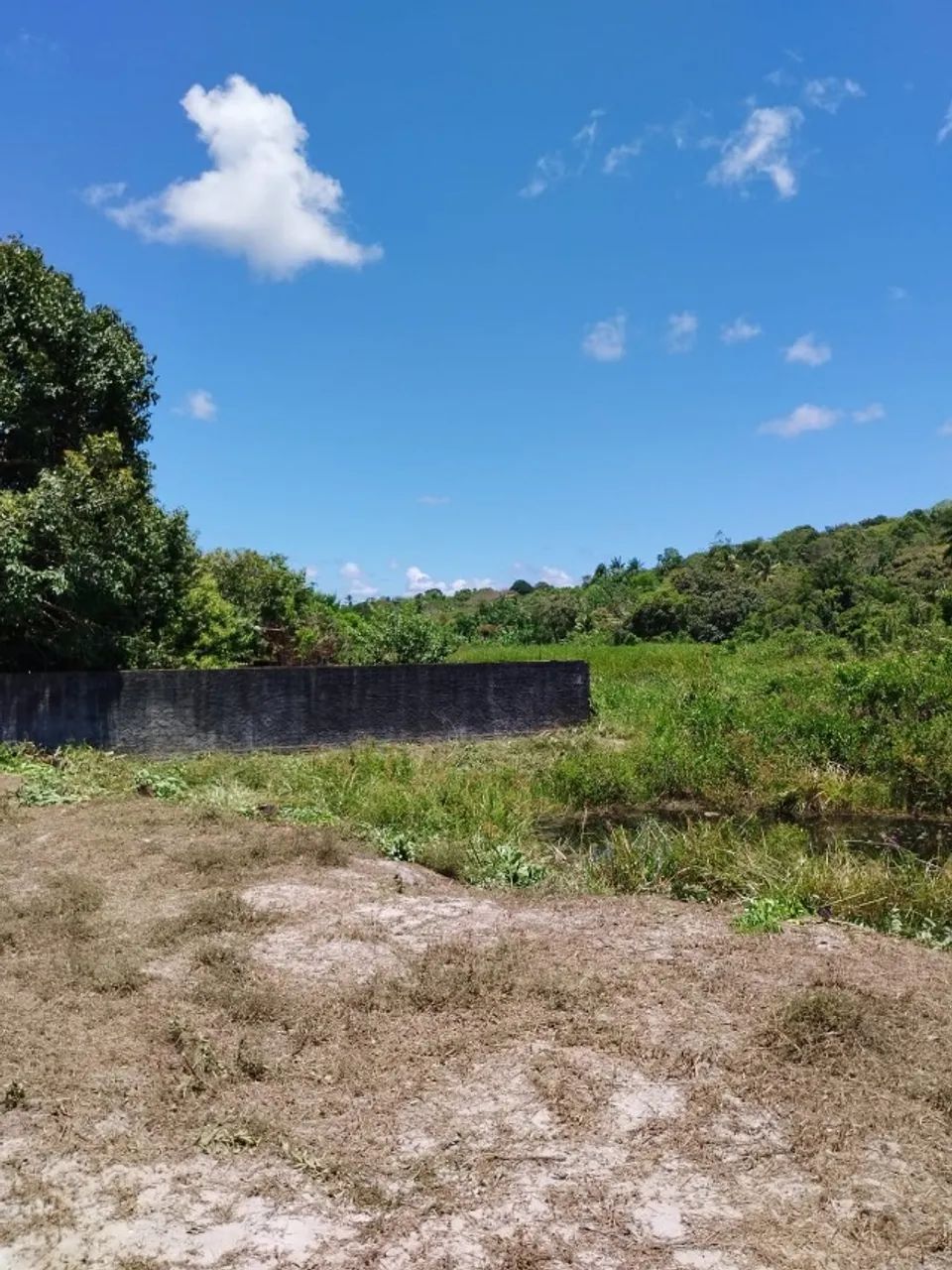 Vendo - Lote - Murado - Barra de Pojuca