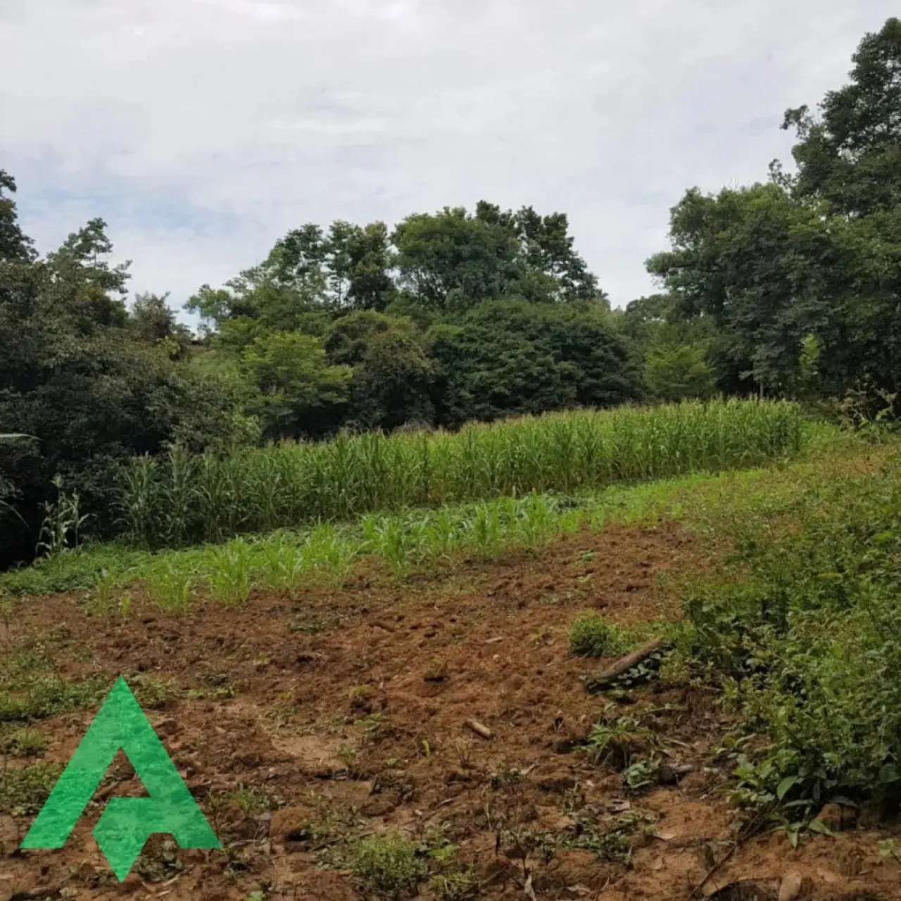 Excelente terreno, em Trombudo Central!