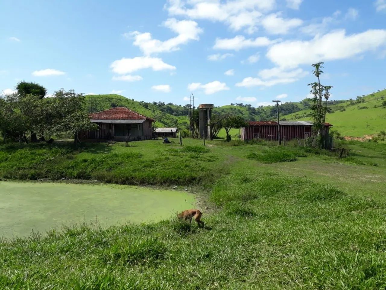 Fazenda 1+ 5 pagamentos  - Foto 4