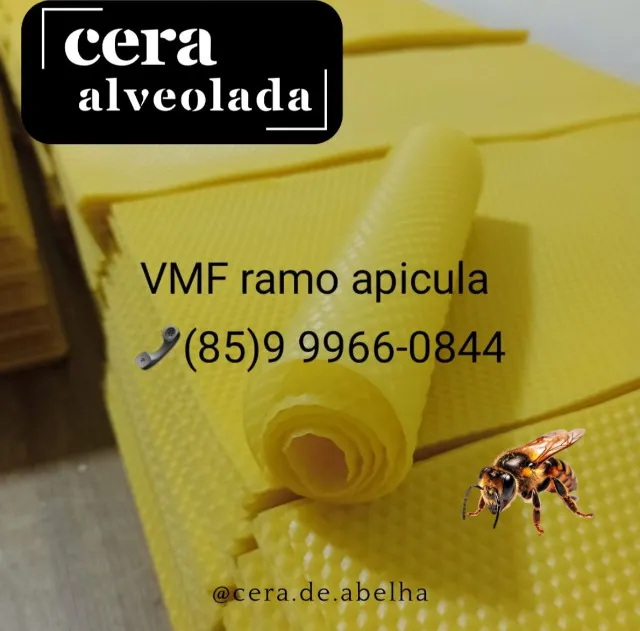 cera de abelha alveolada