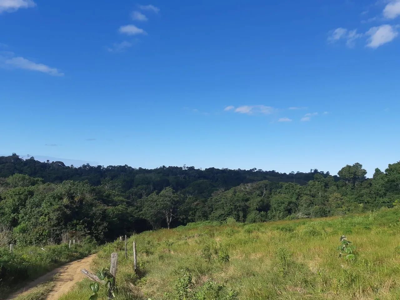 Vendo uma fazenda em Una ( oportunidade) - Foto 2