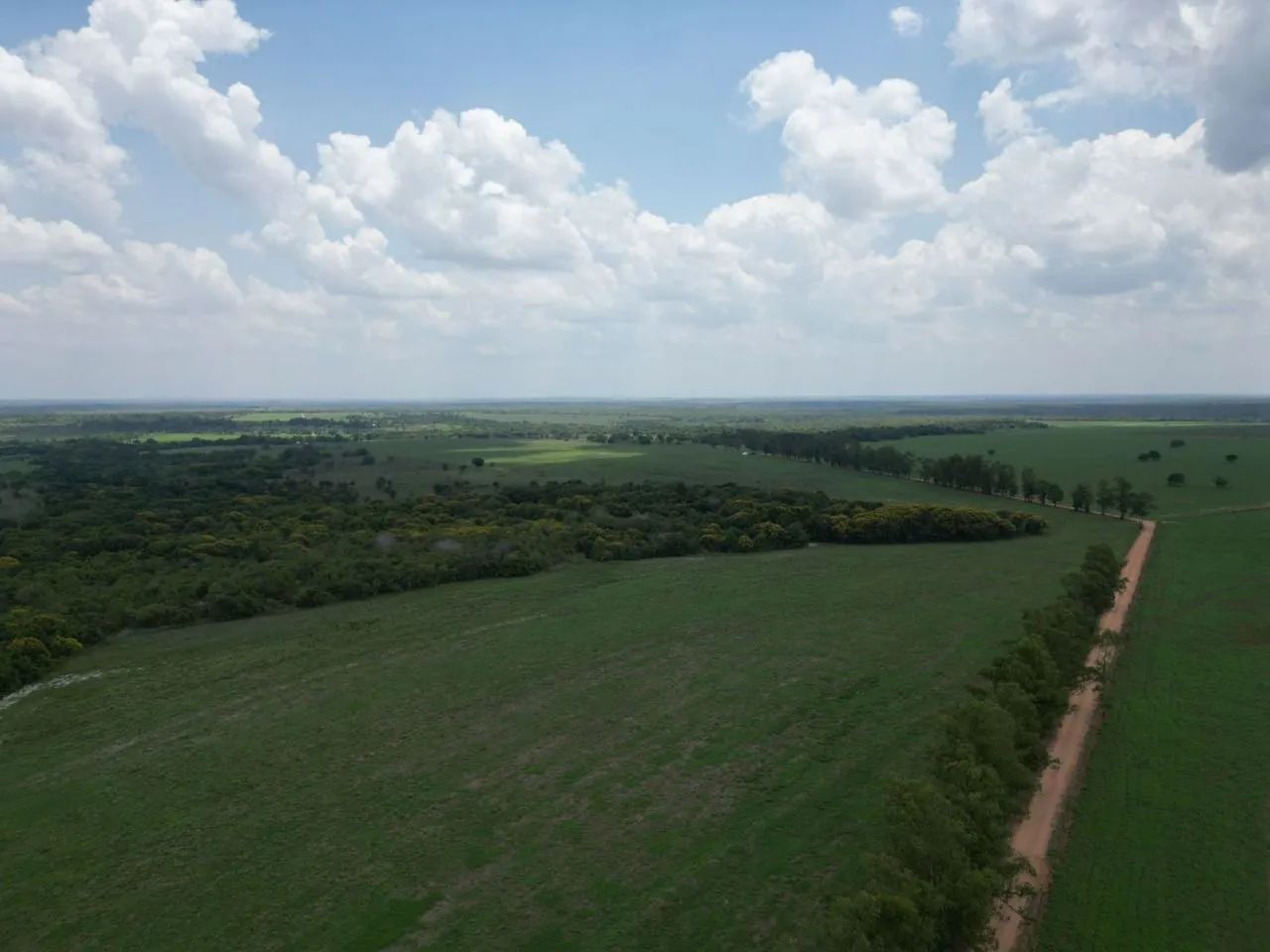 Fazenda com DÍVIDA, 1.700 alqueires a 100km de Araguaína 140 milhões. - Foto 5