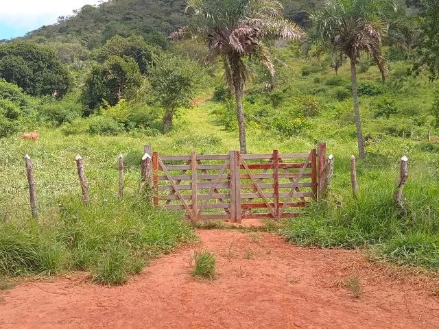 Área de 12, 6 hectares a venda em Senhor do Bomfim -Ba.