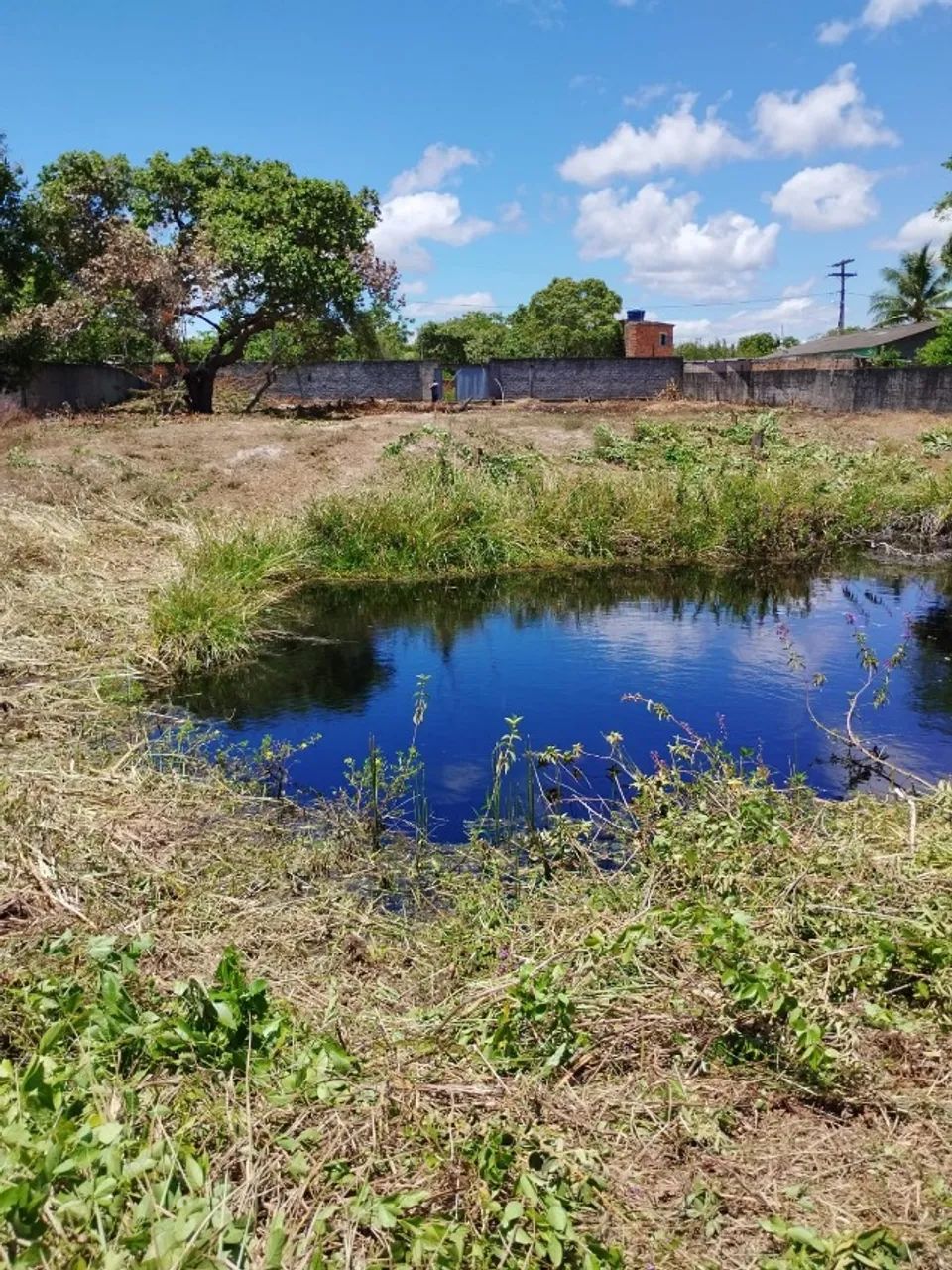Vendo - Lote - Murado - Barra de Pojuca - Foto 3