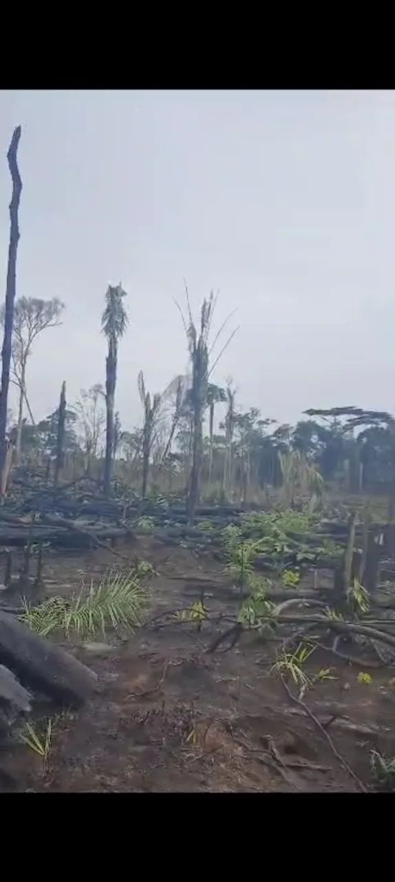 Chácara 50x200m no km17 sentido Humaitá