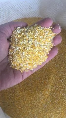 Produtos Agricolas direto da Fazenda ao norte do Mato Grosso (Milho,Farelo,Rações,Soja) - Foto 5