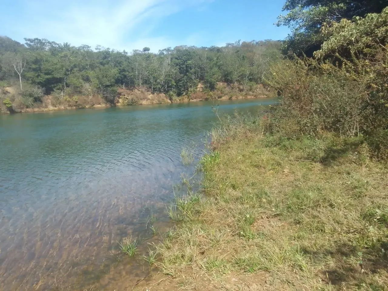 Fazenda a venda em Campo Alegre / Goiás!!! - Foto 4