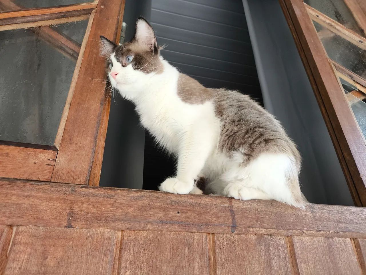 DOAÇÃO RESPONSÁVEL  - Foto 3