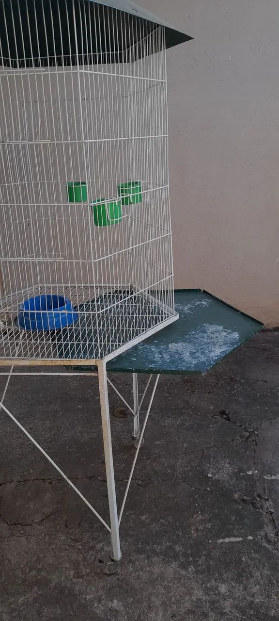 Viveiro pássaros  - Foto 6