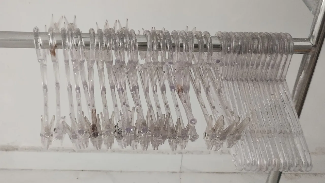 50 Cabides de acrílico com presilhas 3.50 cada