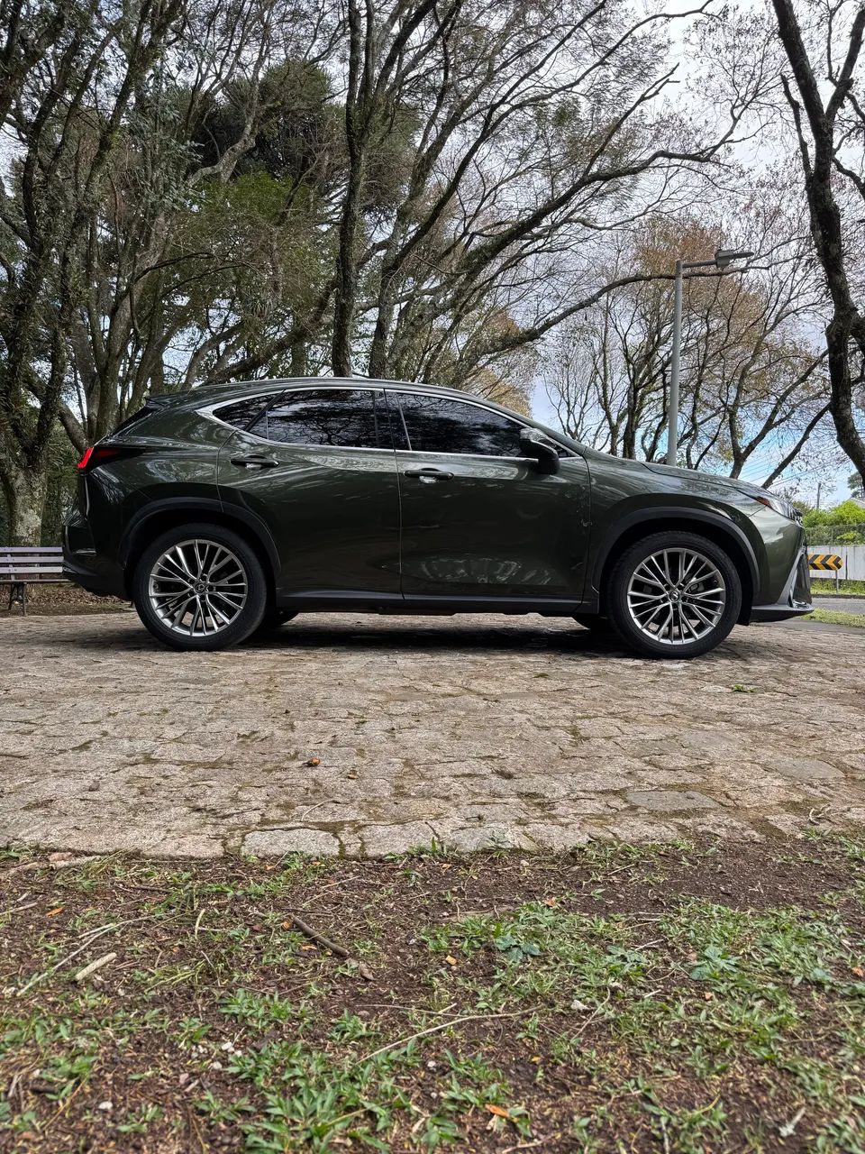 Lexus NX-350h Luxury 2.5 16V Aut. (hybrid), foto 2 de 20