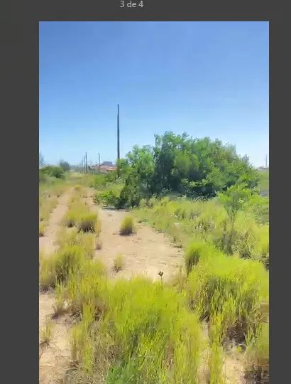 Lotes de esquina com 350m² e lotes com 300m² a 300 metros da praia de Dunas do Sul  - Foto 10