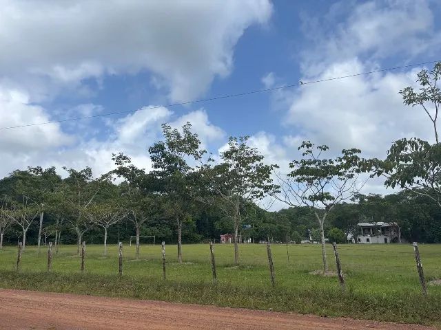 Vendo Lindo Sítio em Santa Bárbara do Pará. - Foto 3