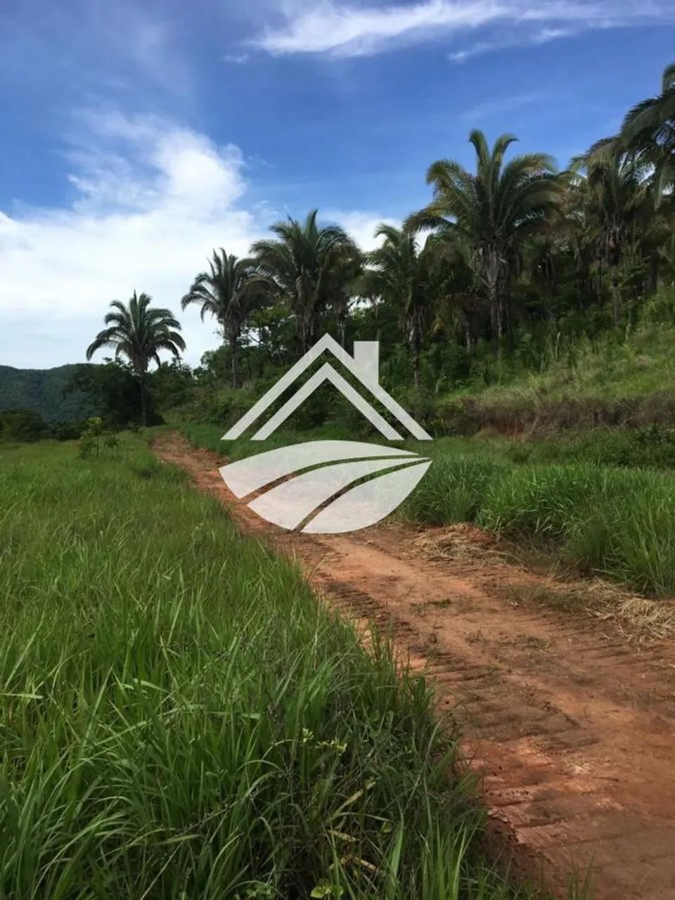 Chácara para Venda em Palmas, Área Rural de Palmas - Foto 5
