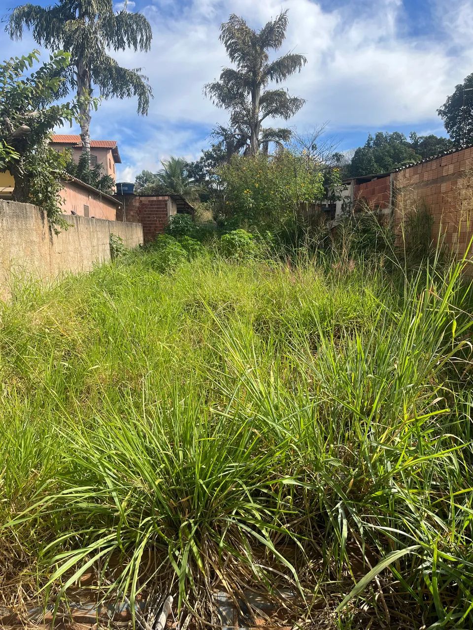 Lote em águas lindas  - Foto 2