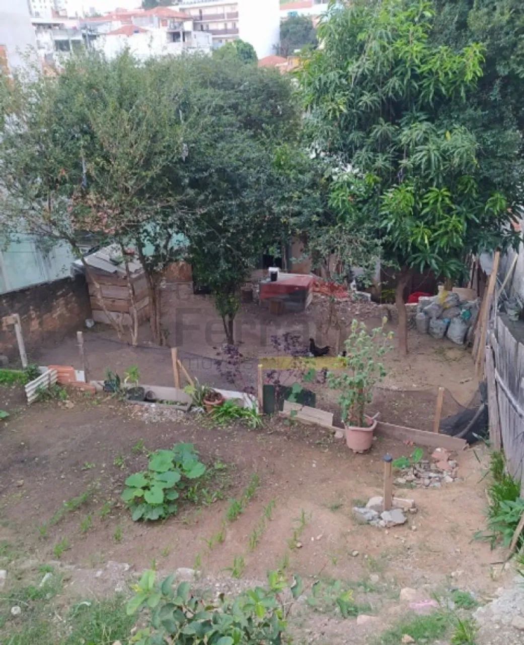 Terreno no Imirim - Foto 5