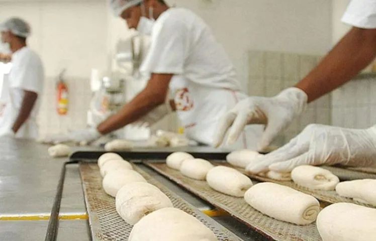 Auxliliar de Produção PADARIA 
