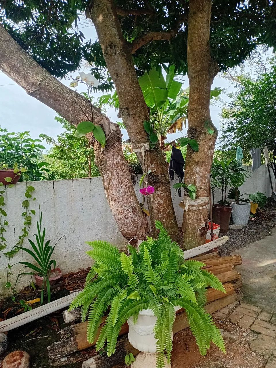 Casa Arembepe , Zona Rural - Foto 2
