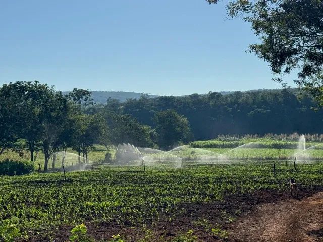 Fazenda com tudo incluso - Foto 5